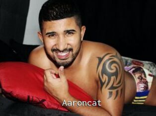 Aaroncat