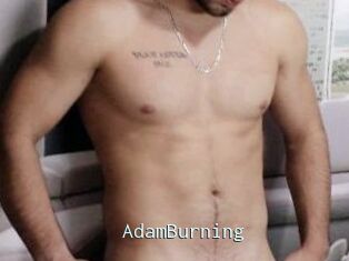 AdamBurning
