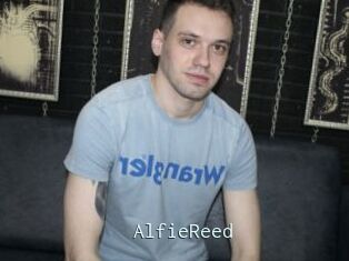 AlfieReed