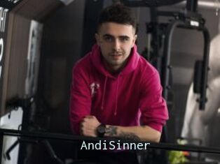 AndiSinner