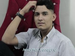 AndyMontenegro