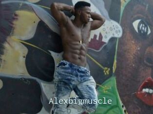 Alexbigmuscle