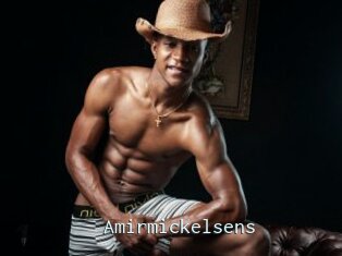 Amirmickelsens