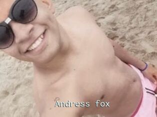 Andress_fox