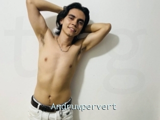 Andruwpervert