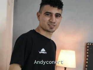 Andyconort