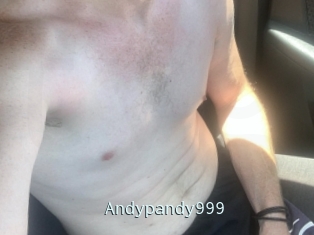 Andypandy999