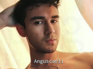 Anguscaeli
