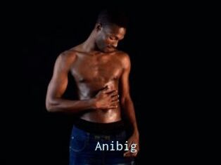 Anibig