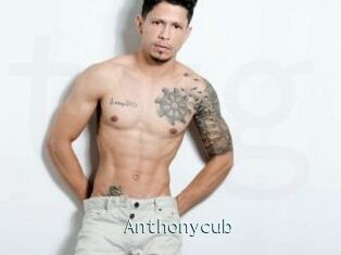 Anthonycub