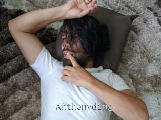 Anthonyding
