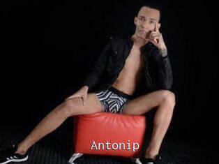 Antonip