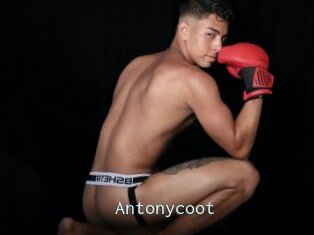 Antonycoot