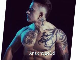 Antonygold