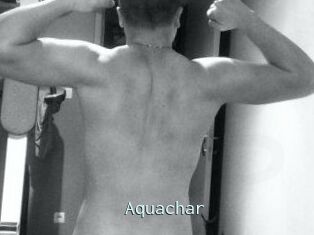 Aquachar