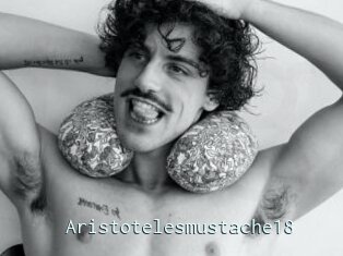 Aristotelesmustache18
