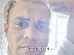 BIGDICKFORU4