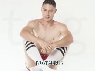 BIGTAURUS
