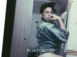 BLUEFOOSTER