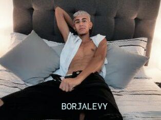 BORJALEVY