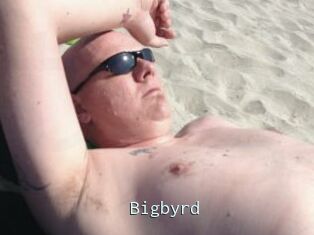 Bigbyrd