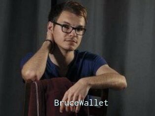 BruceWallet