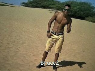 BruceZ