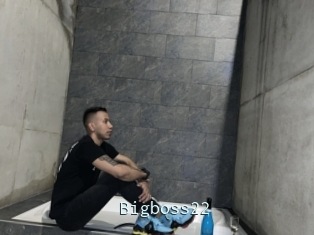 Bigboss22
