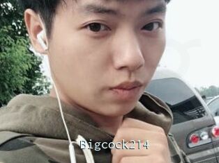 Bigcock214