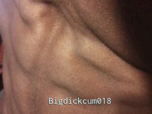 Bigdickcum018