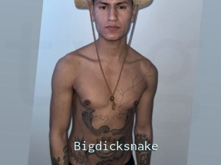 Bigdicksnake