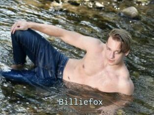 Billiefox