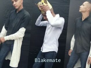 Blakemate