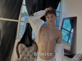Blumice