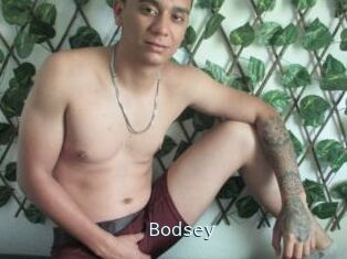 Bodsey