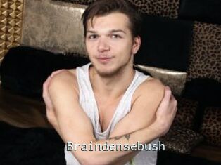 Braindensebush