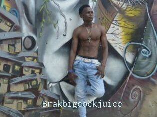 Brakbigcockjuice
