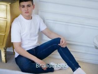 Brandonbud