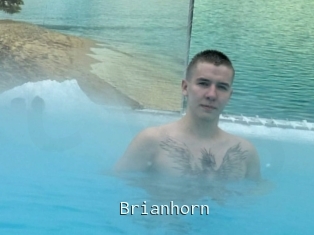 Brianhorn