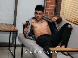 Brunhosbigass