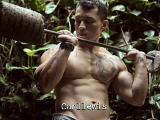 Carllewis