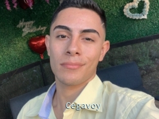 Cegavoy