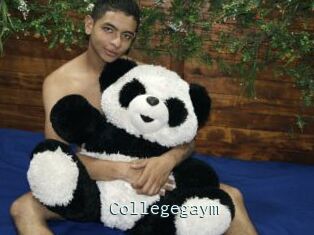 Collegegaym