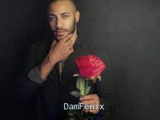 DamFenix