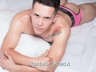 Daniel_Schmid