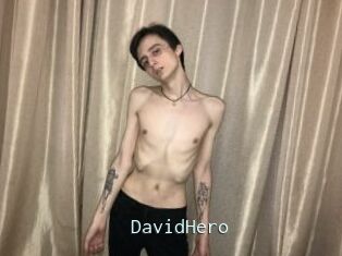 DavidHero
