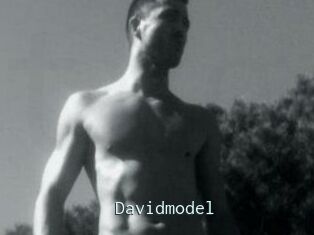 Davidmodel
