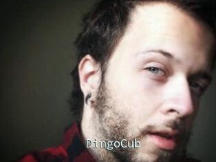 DingoCub