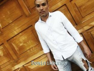 Dominikbunny