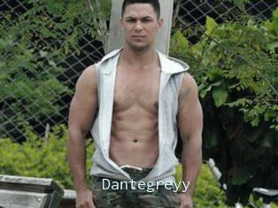 Dantegreyy